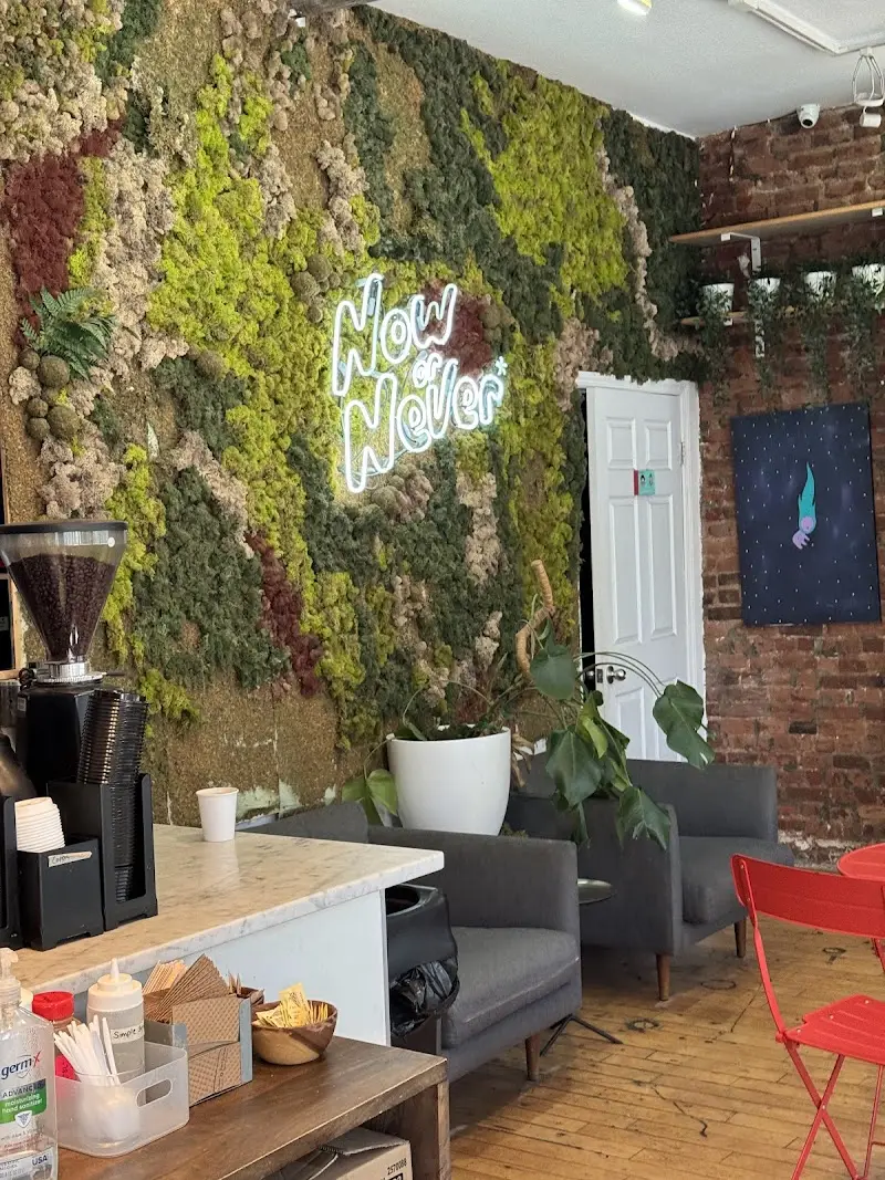 Now or Never Coffee - תמונה 3