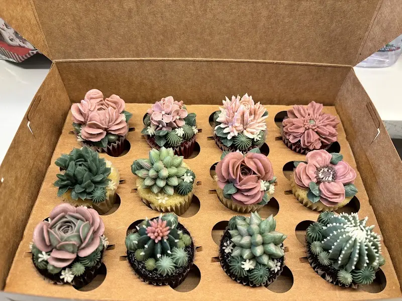 Urban Backyard - תמונה 2